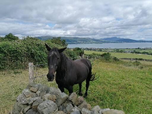 Carlingford Mountain And Sea Views Leilighet Eksteriør bilde